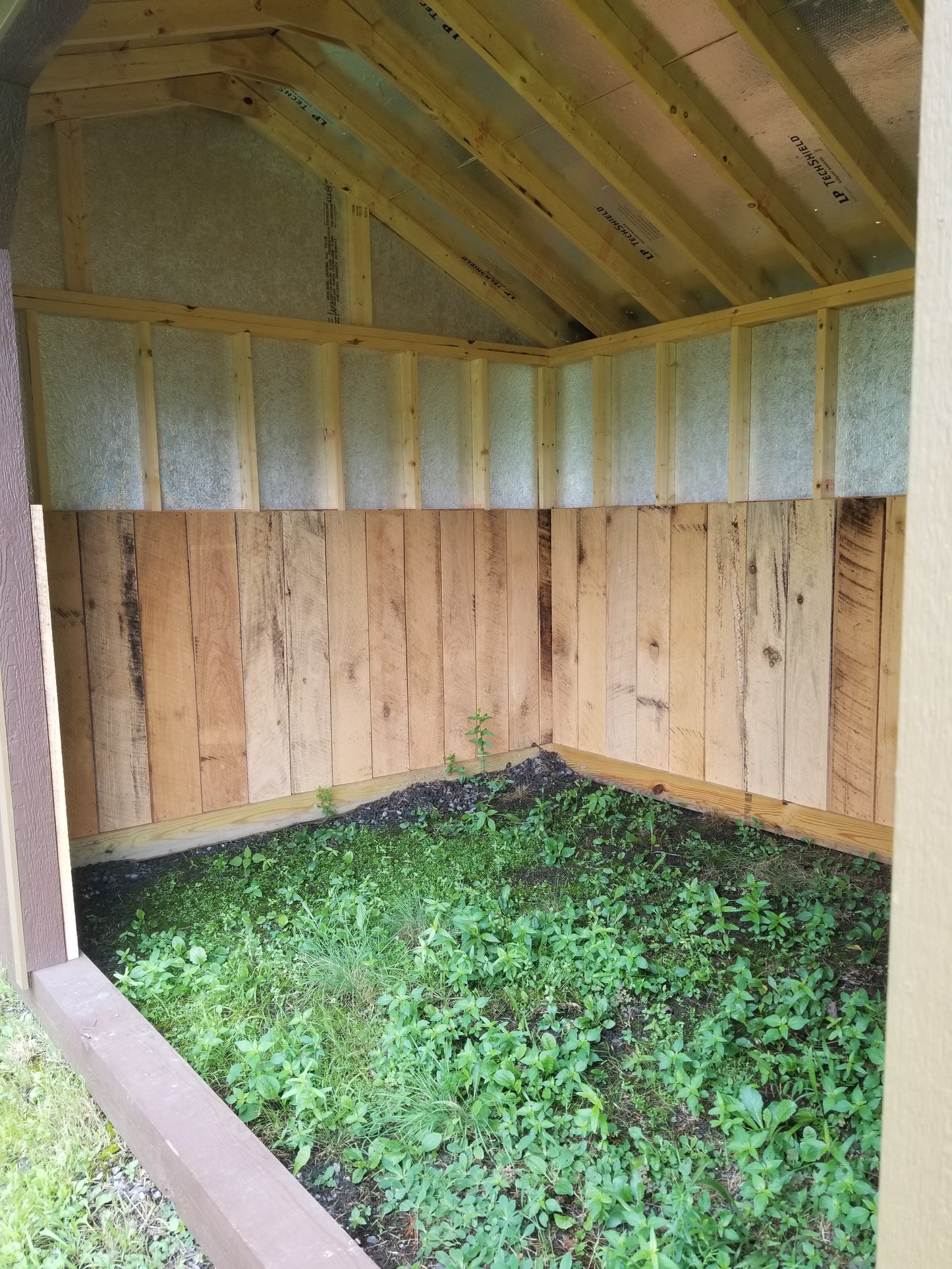 10x16 Horse Run-in Shed with SmartTec Siding